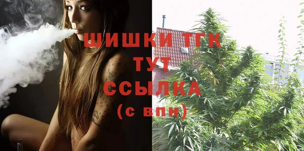 МДМА Горняк