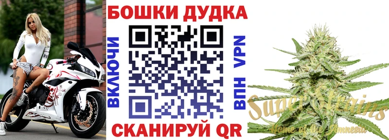 Бошки Шишки планчик  Раменское 